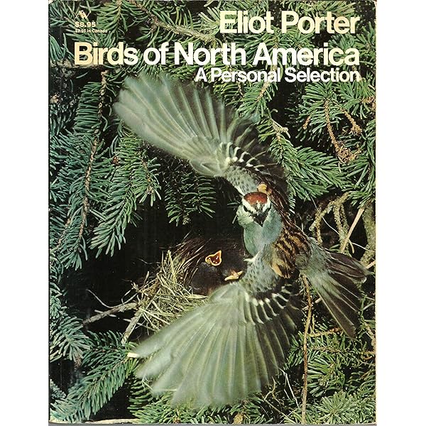 洋書 Jeffrey Whiting's Owls of North America Jeffrey Whiting's Owls of North America (Whiting's Reference of