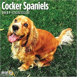 2021 Cocker Spaniels Wall Calendar by Bright Day, 12 x 12 Inch, Cute Dog Puppy