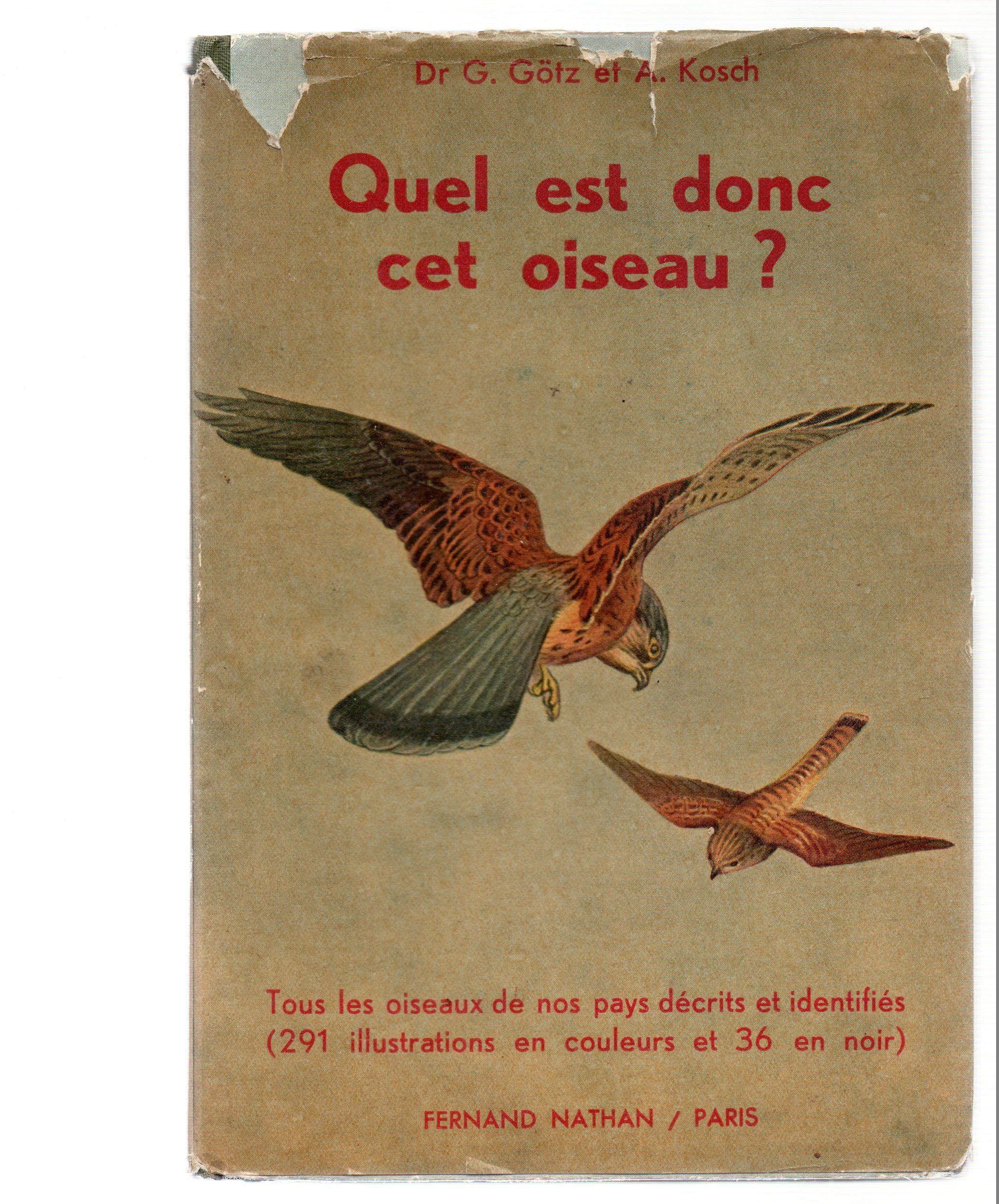 Amazonfr Quel Est Donc Cet Oiseau Götz Dr G Kosch A - 