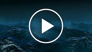 A video posted by the author.