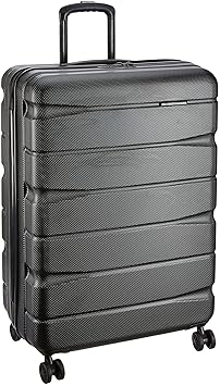 Teakwood ABS 30 cms Black Hardsided Check-in Luggage (TR_ABS_13_Dark_Black_L)