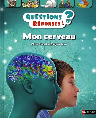 Download Mon cerveau - Questions/Réponses - doc dès 7 ans (49) PDF