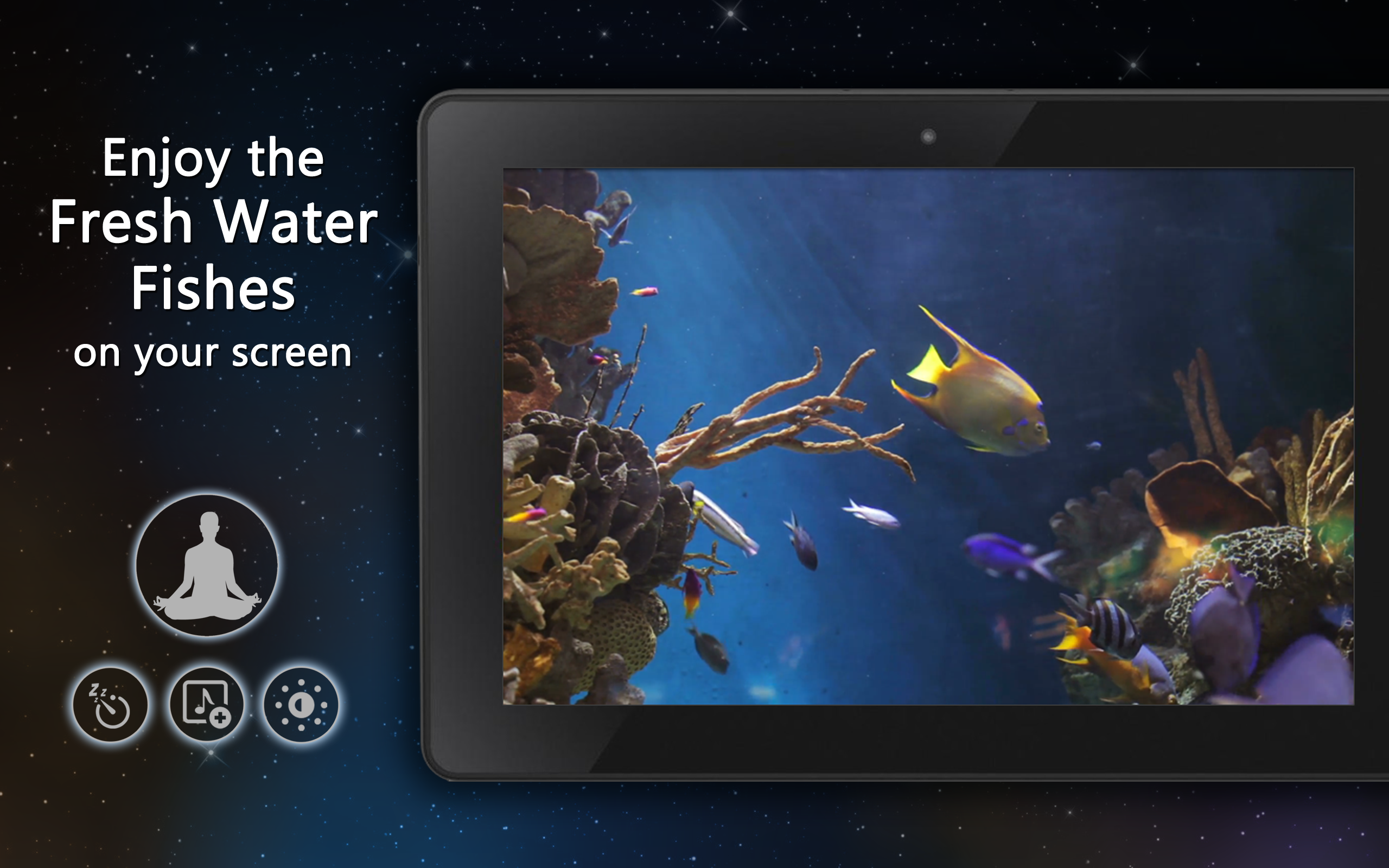 Calm Aquarium - Meditate with Fishes - Thumbnail 4