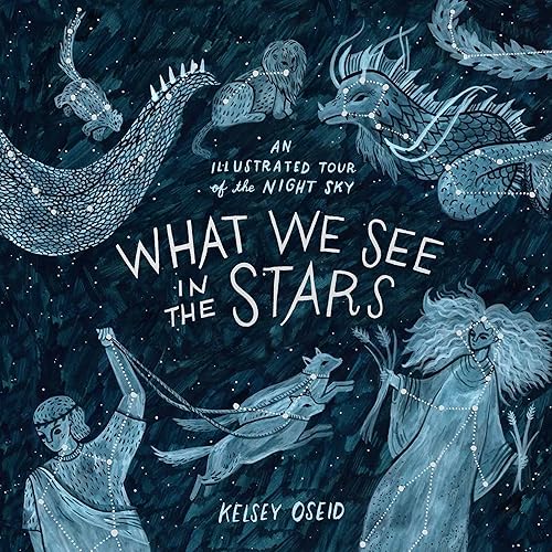 Download What We See in the Stars: An Illustrated Tour of the Night Sky PDF