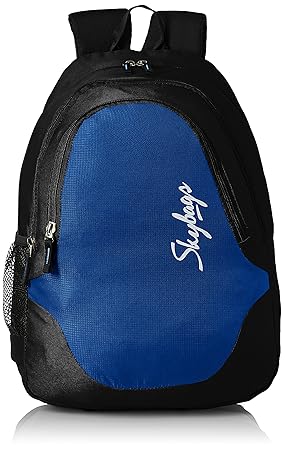 Skybags Groove 21 Ltrs Blue Casual Backpack (BPGRO2BLU)