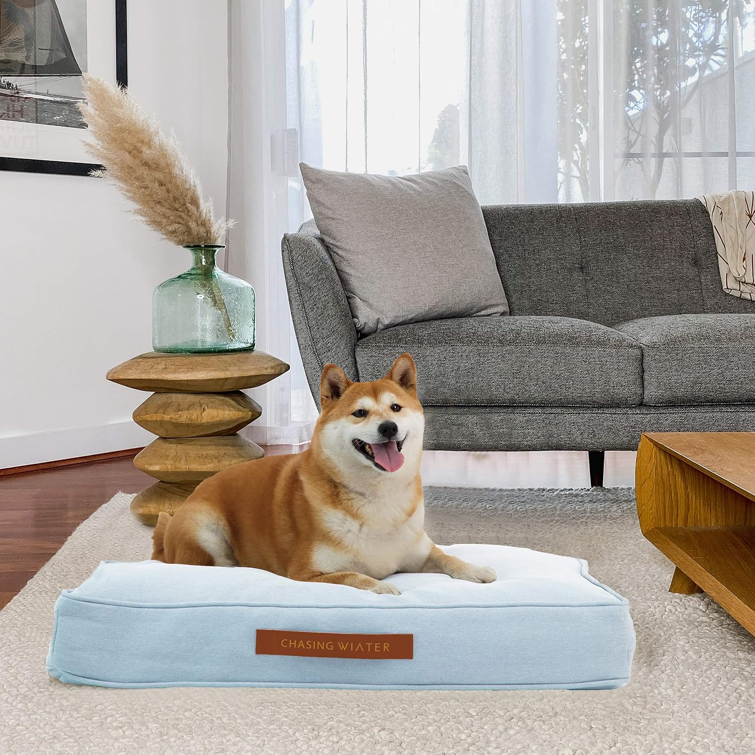 Chasing Winter Premium Memory Foam Dog Bed for Medium Breeds, Blue | Pain Relief Orthopedic 31" x 24" x 5" Pet Bed w/Heavy-Duty, Washable Removable Cover - for Breeds up to 55 Lbs. : Pet Supplies