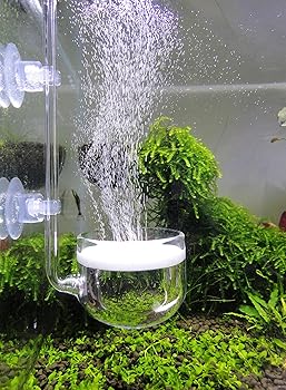 JARDLI Music Glass CO2 Diffuser