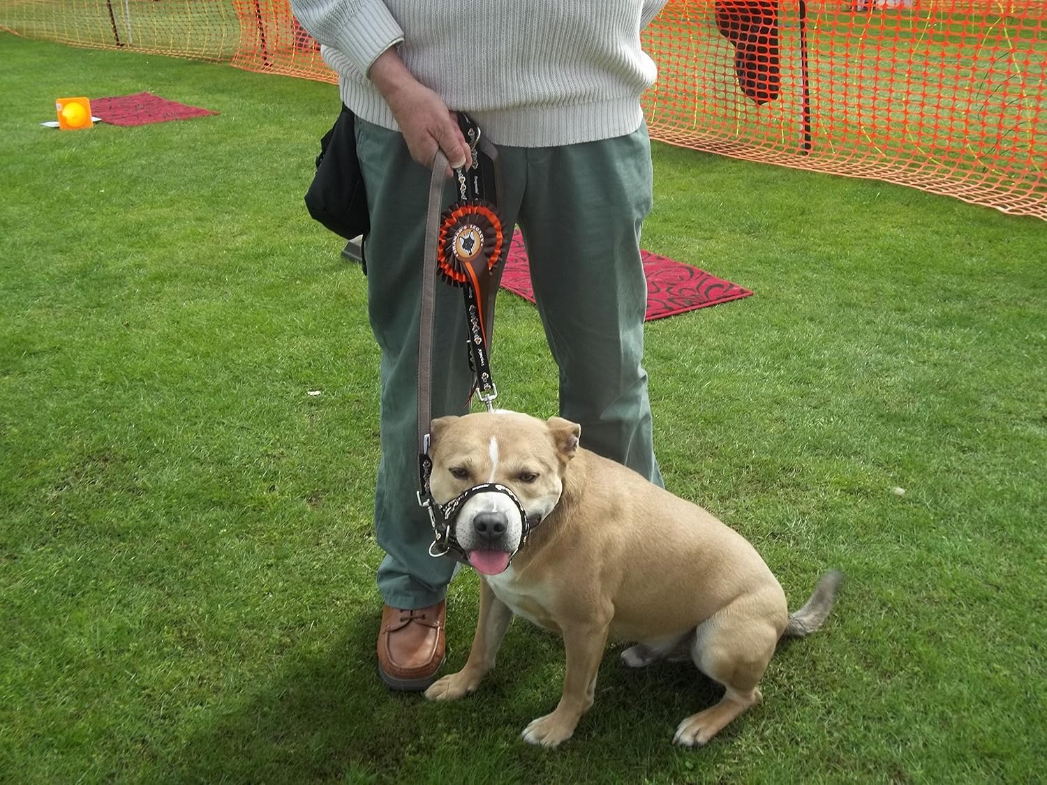 dogmatic headcollar size 2