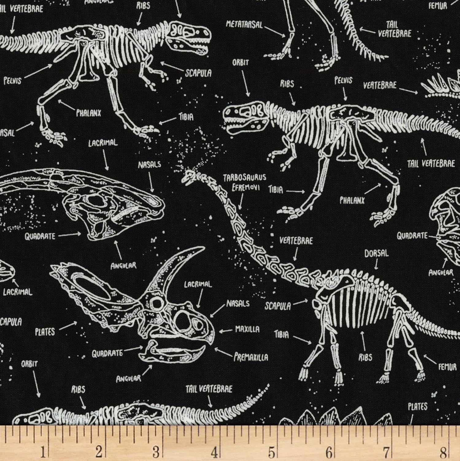 Timeless Treasures Glow In The Dark Dinosaur Skeletons Fabric, Black, Fabric By The Yard