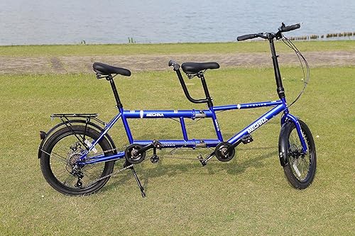 WEEROCK 20 Inch Foldable Tandem Bike for Adults with Seater