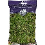 SuperMoss (25322) Forest Moss Preserved, Fresh Green, 8oz