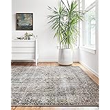 Loloi Layla Collection, LAY-06, Taupe/Stone, 2'-6" x 12'-0", 13" Thick, Runner Rug, Soft, Durable, Vintage Inspired, Distress