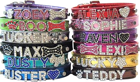 rhinestone personalized dog collars