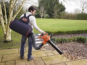 clicca per ingrandire l'immagine