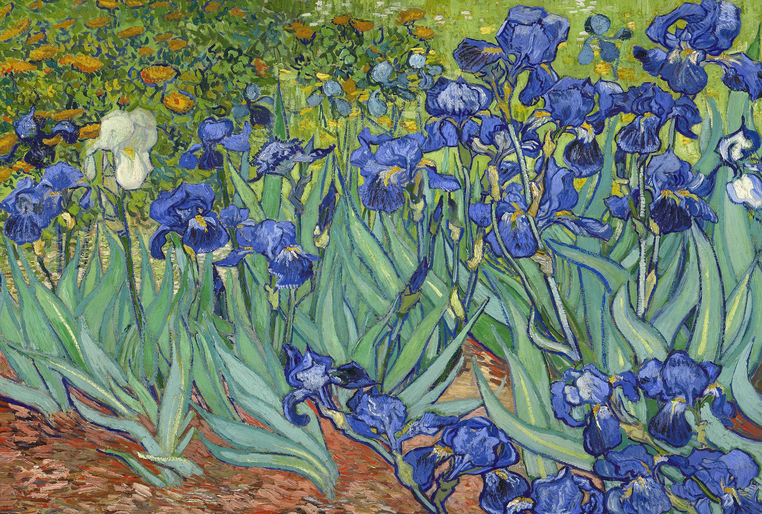 Jigsaw Puzzles for Adults 1000 Piece Irises by Vincent Van Gogh 27.56 x 19.69 Inch Puzzles for Adults Educational Challenge Toy 1000 Pieces Van Gogh Puzzles for Adult Kid