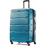 Amazon.com | Samsonite Checked-Large, Brushed Anthracite ...