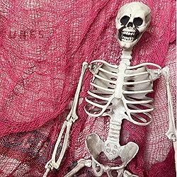 Qtisky Set of 5 Pink Halloween Gauze Decor, Indoor