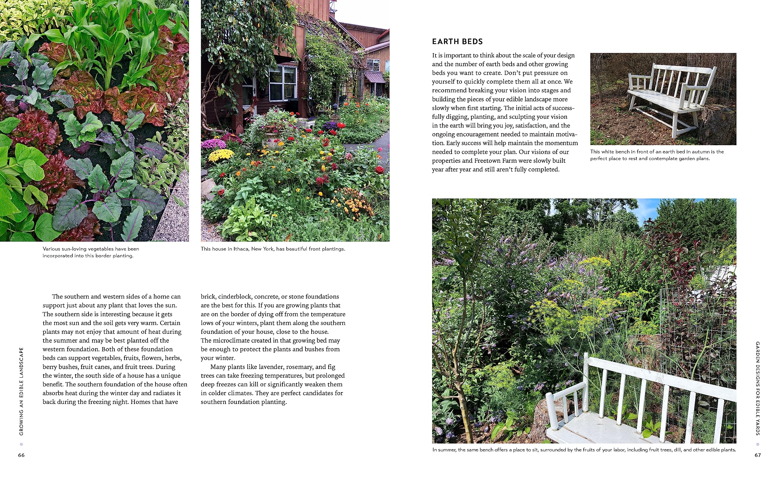 Growing an Edible Landscape: How to Transform Your Outdoor Space into a Food Garden