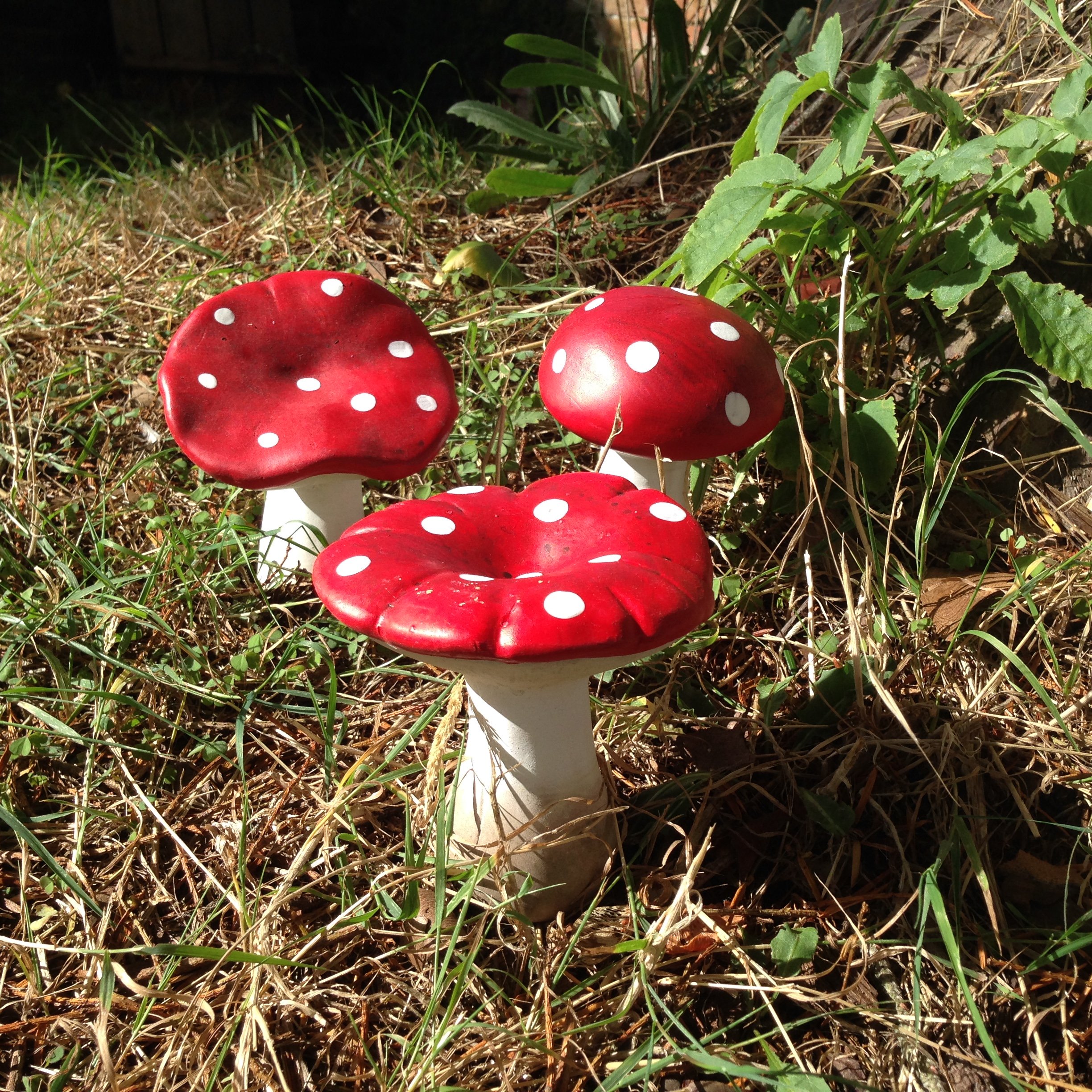Garden minis (Set of 3 Mushroom)