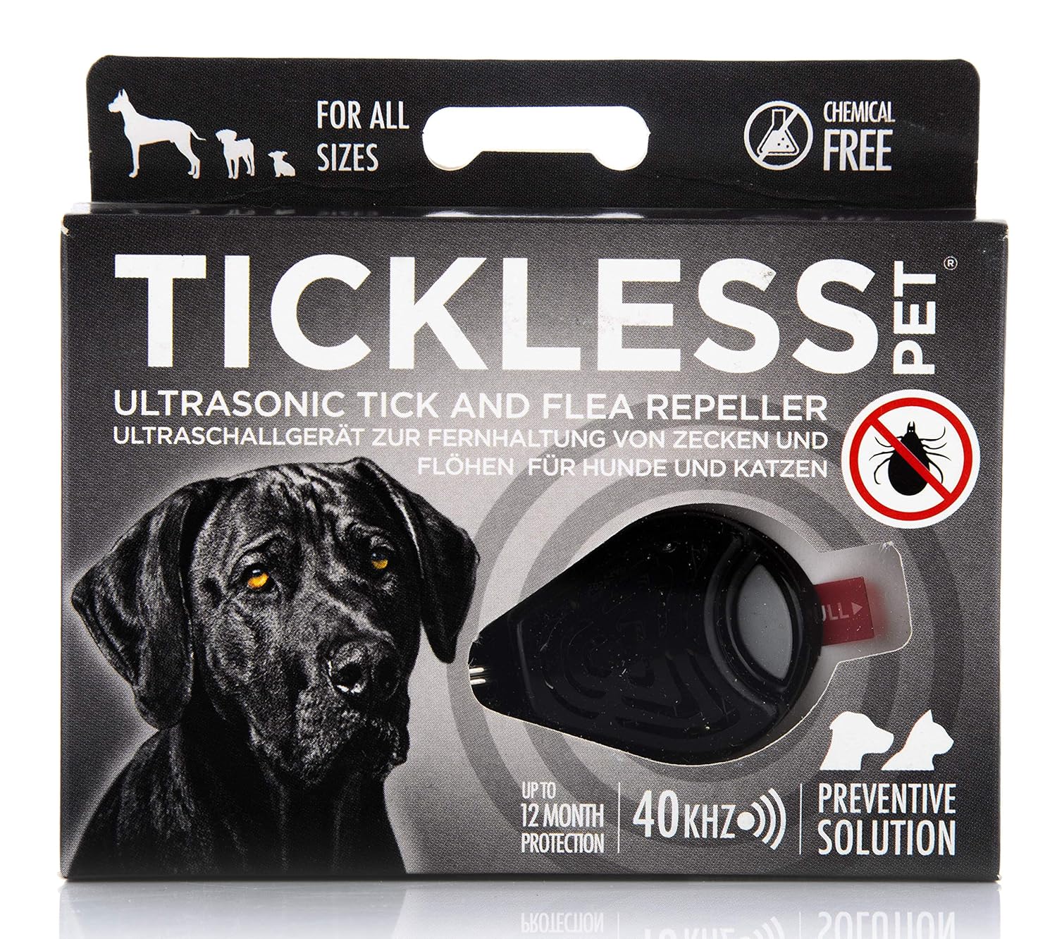 cold blooded reptiles