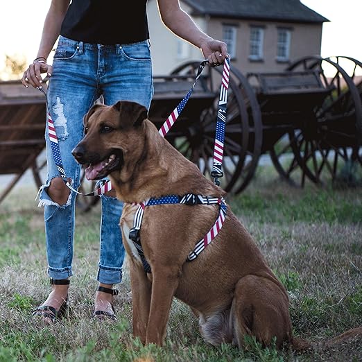 Wolfgang man and beast harness Clearance