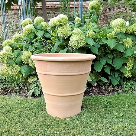 Handgefertiger Terracotta Topf Pflanzgefass Aus Kreta Hochwertig Und Frostsicher Terrasse Balkon Garten Verschiedene Grossen 50 Cm Yucca Amazon De Garten