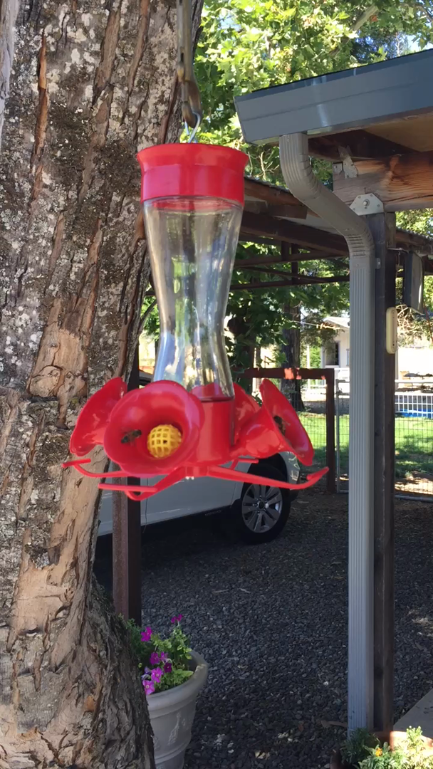 PerkyPet PinchWaist Glass Hummingbird Feeder 203CP (8oz