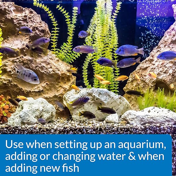 API STRESS COAT AQUARIUM WATER CONDITIONER 16-OUNCE BOTTLE