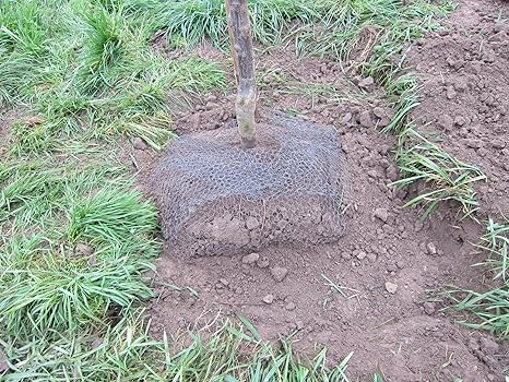 Wühlmausdraht, Wühlmausschutz, Wurzelschutz, unverzinkter Draht