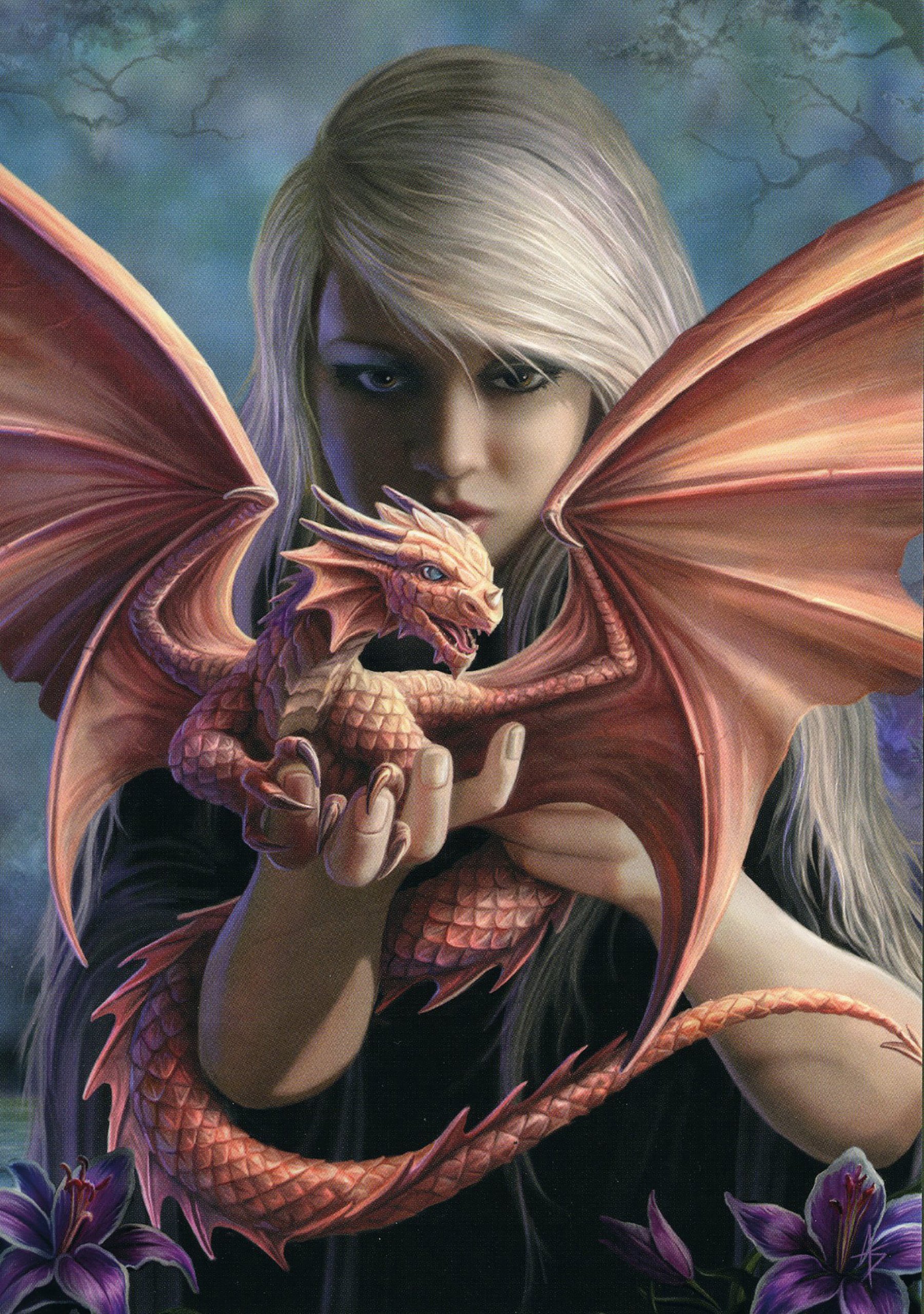 Dragon Kin - Dragon Greetings Card with Patterned Envelope - by Anne Stokes - Blank for Your Own Message and Any Occasion