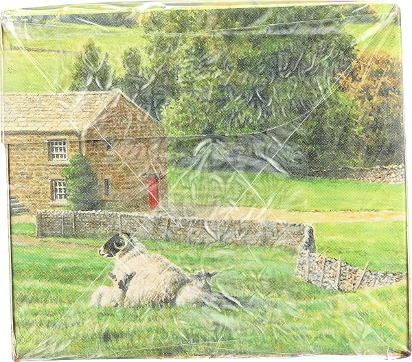 TAYLORS OF HARROGATE, TEA YORKSHIRE, 40 COUNT