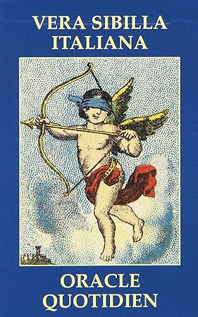 Jeu De Cartes Oracles Everyday Oracle Castelli Antonella Amazon Fr Jeux Et Jouets