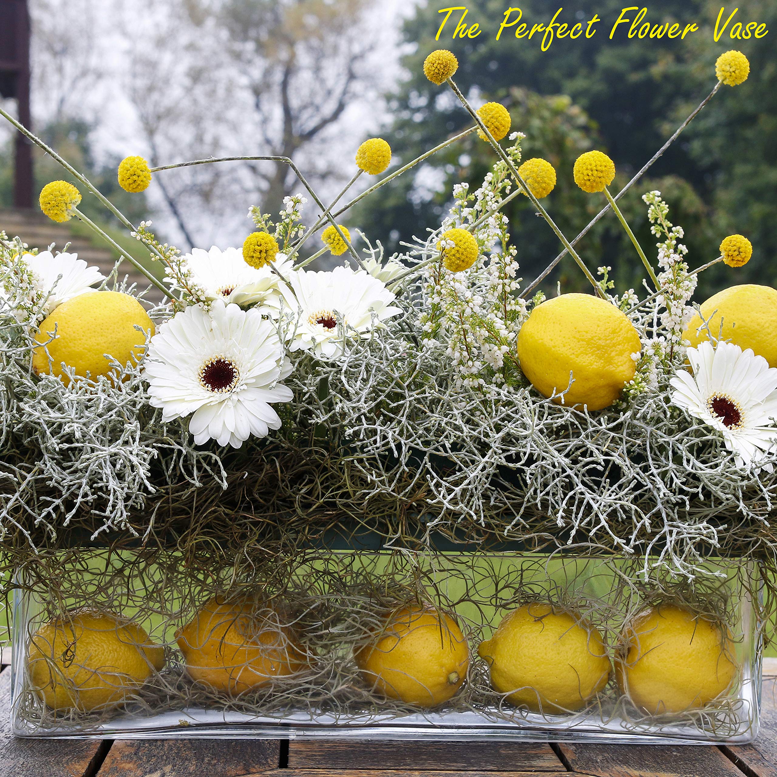 CYS Excel Glass Rectangle Vase (H4" Open16"x4") Multiple Size