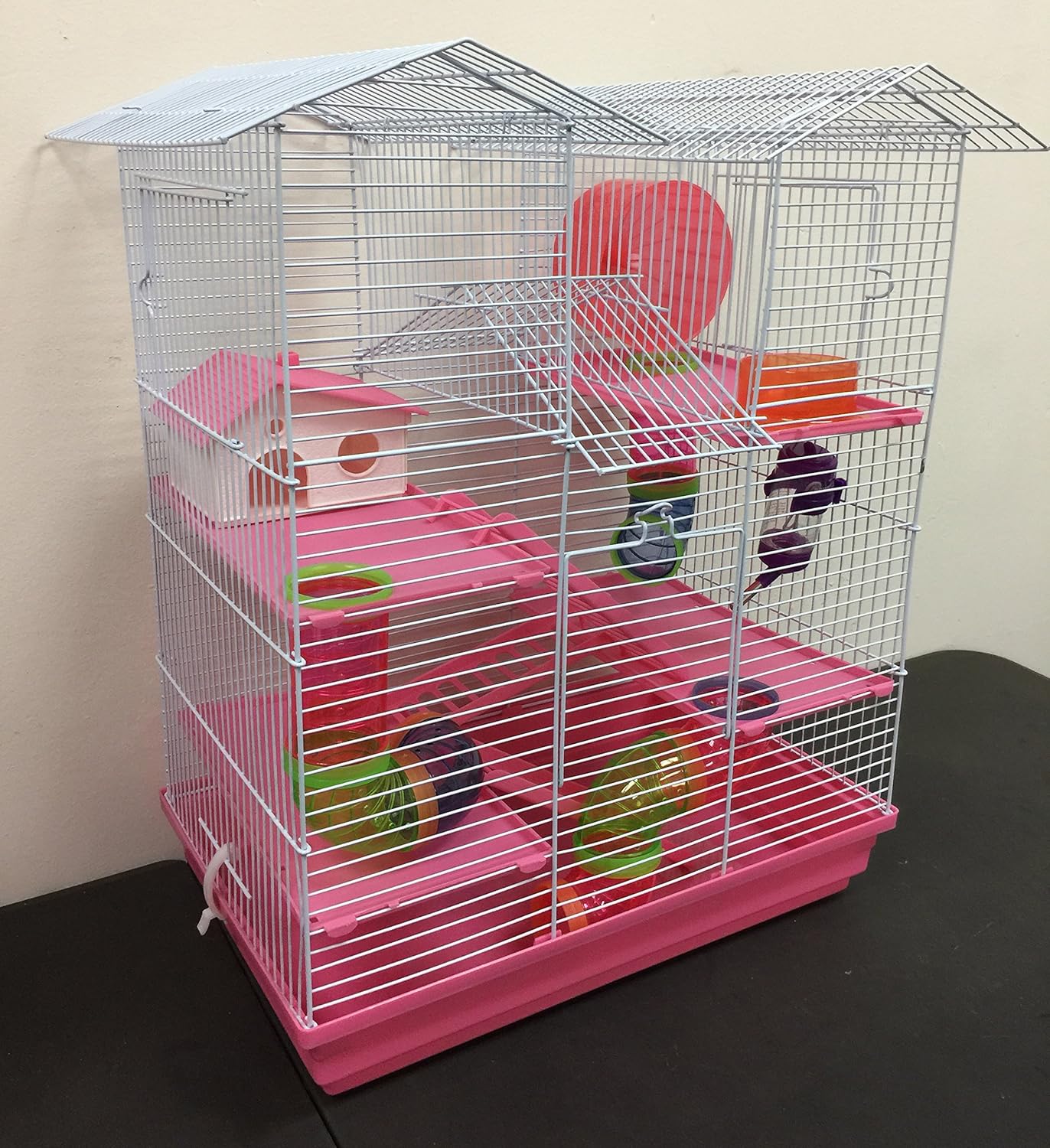 large syrian hamster