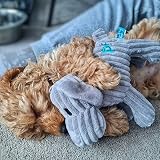 Petface Little Freddi Cord Plush Puppy Toy Pack of 2 view 6
