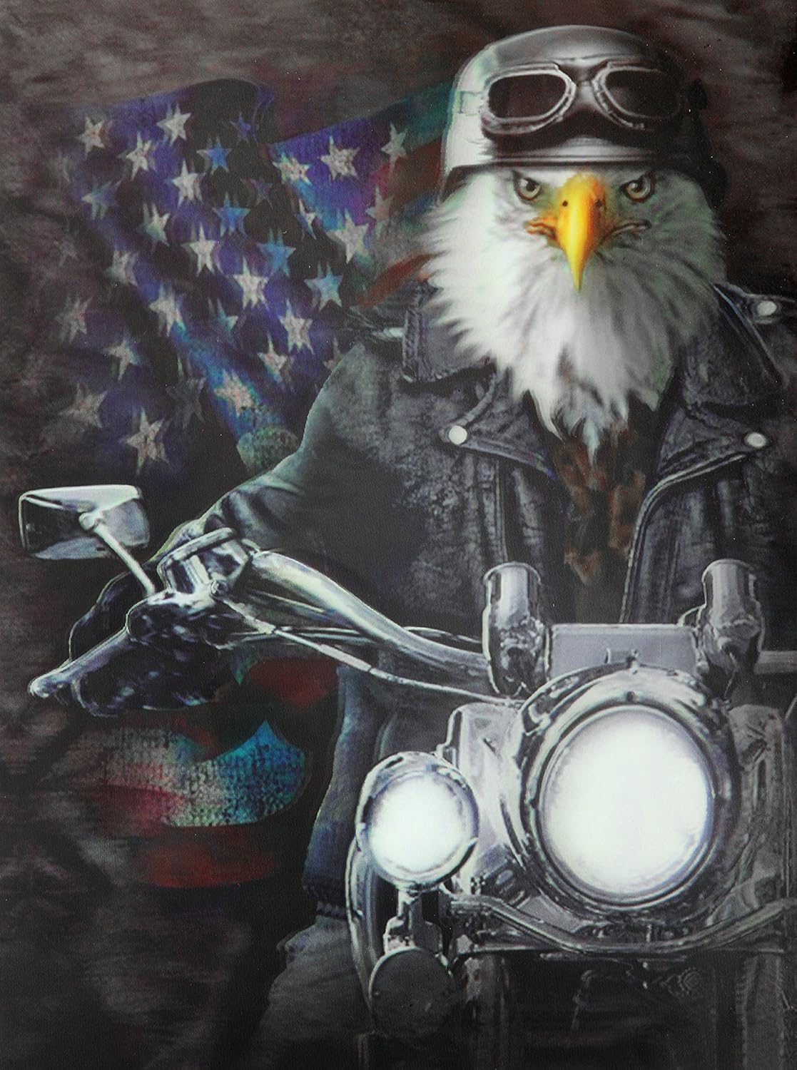Those Flipping Pictures 3D Posters and Lenticular (3 Images in 1) Wall Art Optical Illusion Images and Holographic Pictures (Patriotic Eagle-3d)