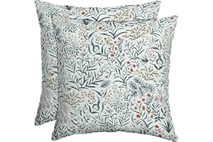 ARDEN SELECTIONS Arden Outdoor Toss Pillow, 2 Pack, 16 x 16, Rain-Proof, Fade Resistant Pistachio Botanical