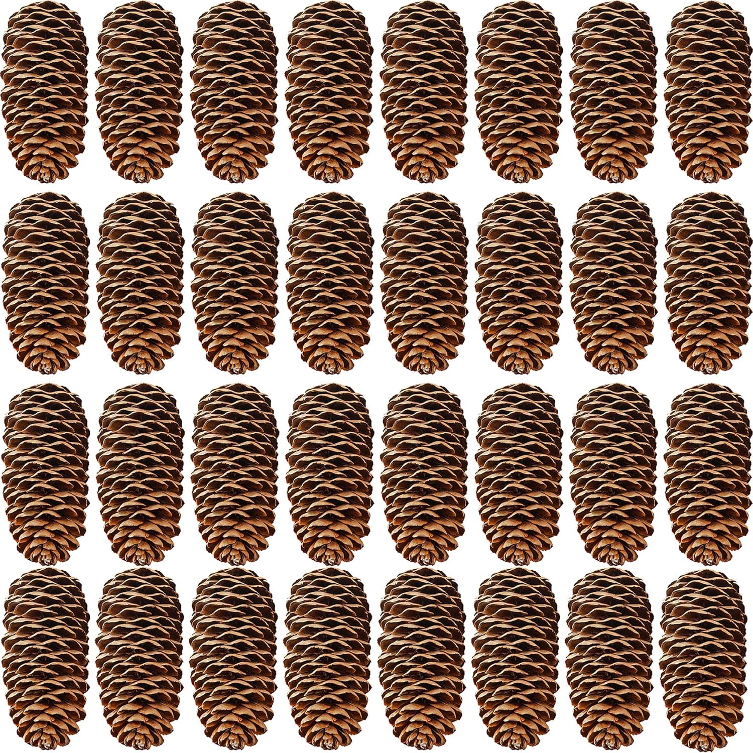 Vase Fillers - Rcanedny 30 Pieces Large Christmas Snow Pine Cones Natural Pine Cones Natural Pinecones for Christmas Party Ornament DIY Crafts Home Decoration (8-10 cm)