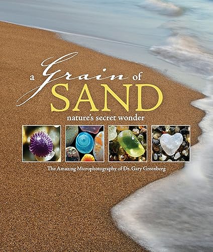 Download A Grain of Sand PDF