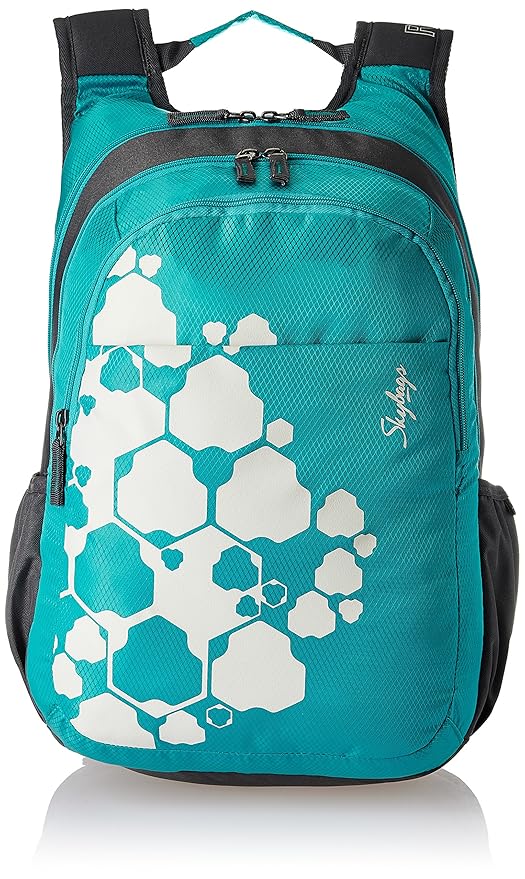 skybags with rain coat