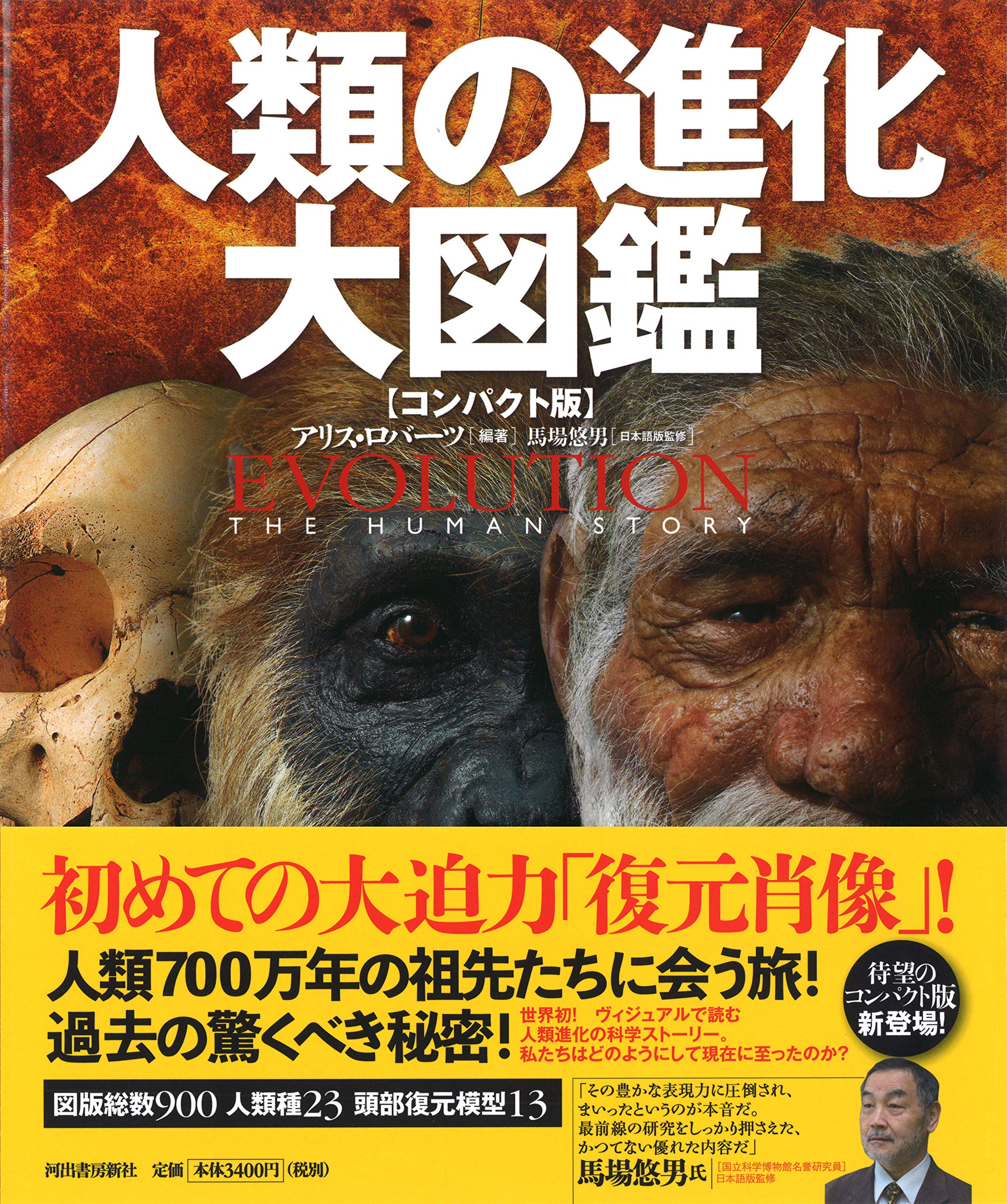 在庫あり 即納 送料無料 本 人類の進化大図鑑 アリス ロバーツ 馬場悠男 黒田眞知 新品 本 人文 社会 理学 生命科学 進化論 さらに値下げ R4urealtygroup Com