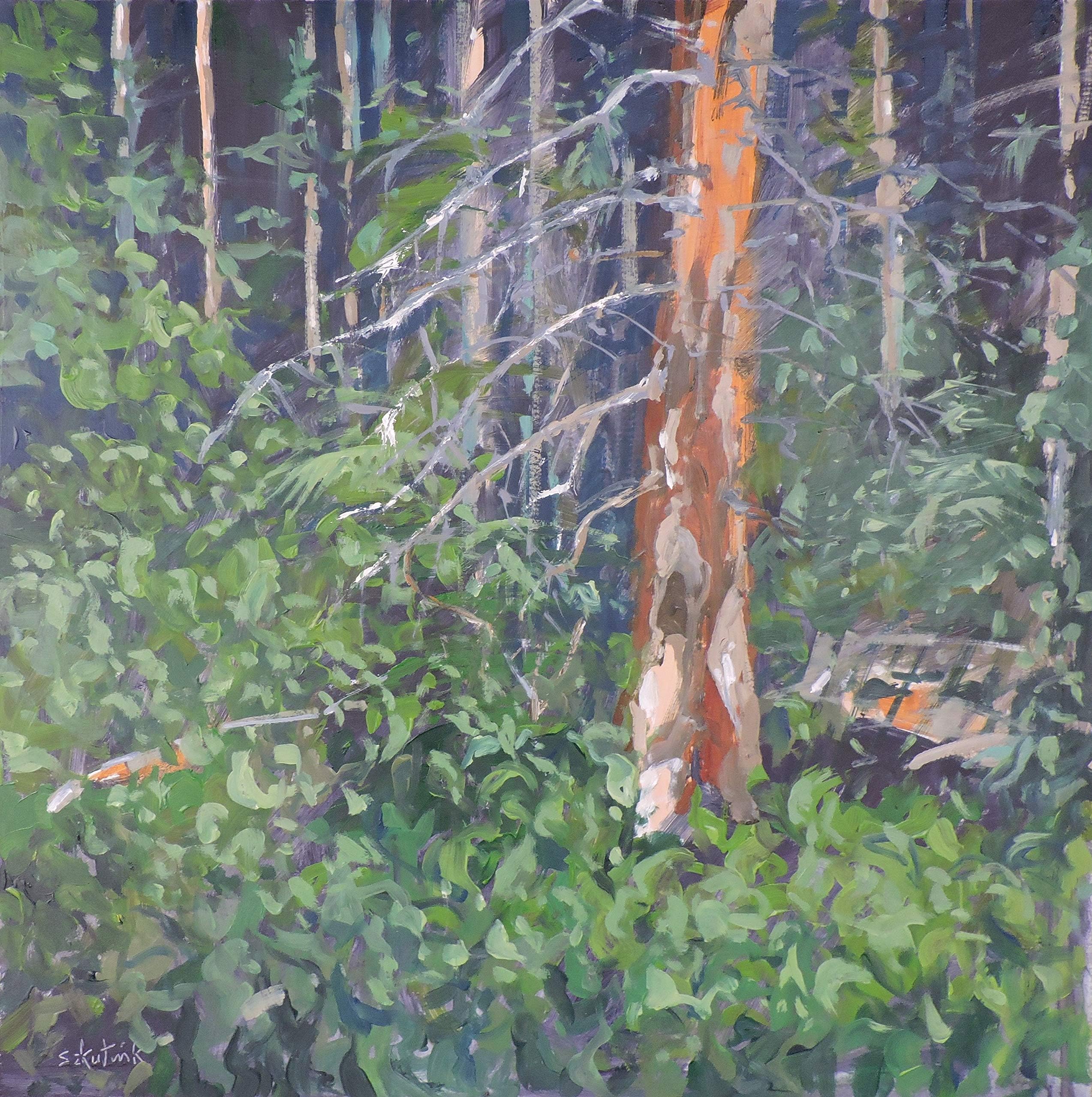 Pine