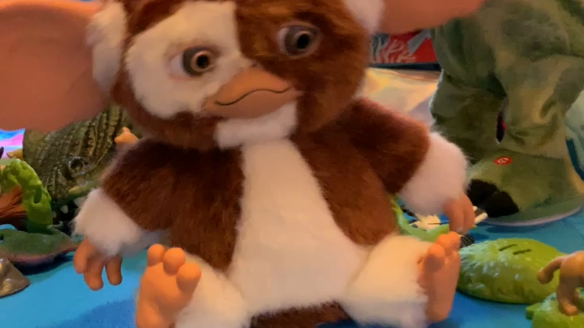 Watch It's gizmo!! on Amazon Live