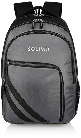 Amazon Brand - Solimo Travel Backpack (29 litres, Metallic Grey & Coal Black)