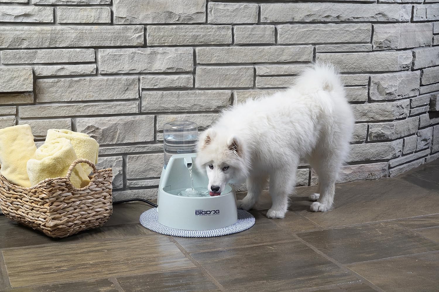 Pet Supplies : PetSafe Drinkwell Big Dog Water Fountain, 288 oz, Great for  Large Breeds and Multiple Pet Households, Filters Included : Pet Self  Waterers ...