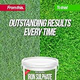 Pro-Kleen 2.5KG Iron Sulphate Lawn Fertiliser - 2500L Coverage view 8