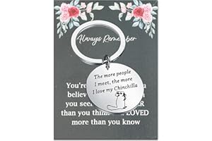 WSNANG Chinchilla Keychain Chinchilla Lover Gifts Chinchilla Owner Gifts for Chinchilla Mom Dad Pet Animal Lover Gifts(silver)
