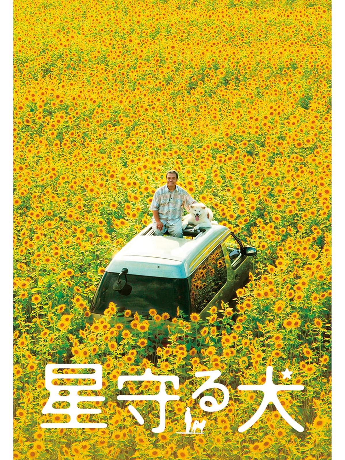 Amazon Co Jp マリと子犬の物語を観る Prime Video