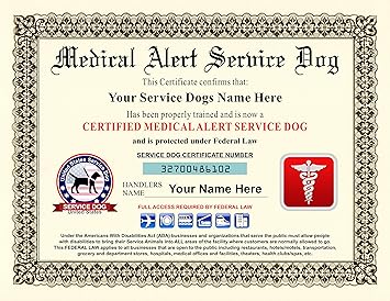 local english bulldog puppies for sale