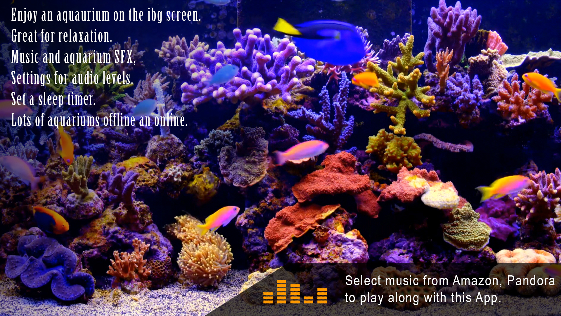 Amazing Aquariums In HD - Thumbnail 6